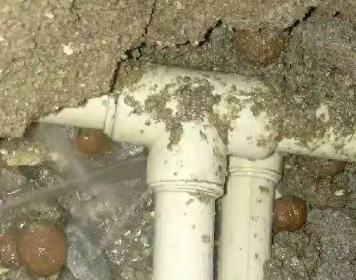 阿勒泰测漏水多少钱