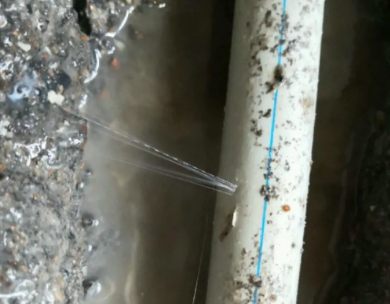 阿勒泰测漏水哪家好