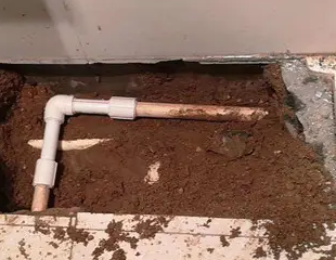 阿勒泰测漏水哪家好