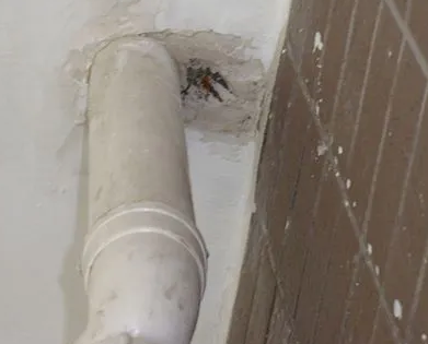 阿勒泰漏水检测哪家好